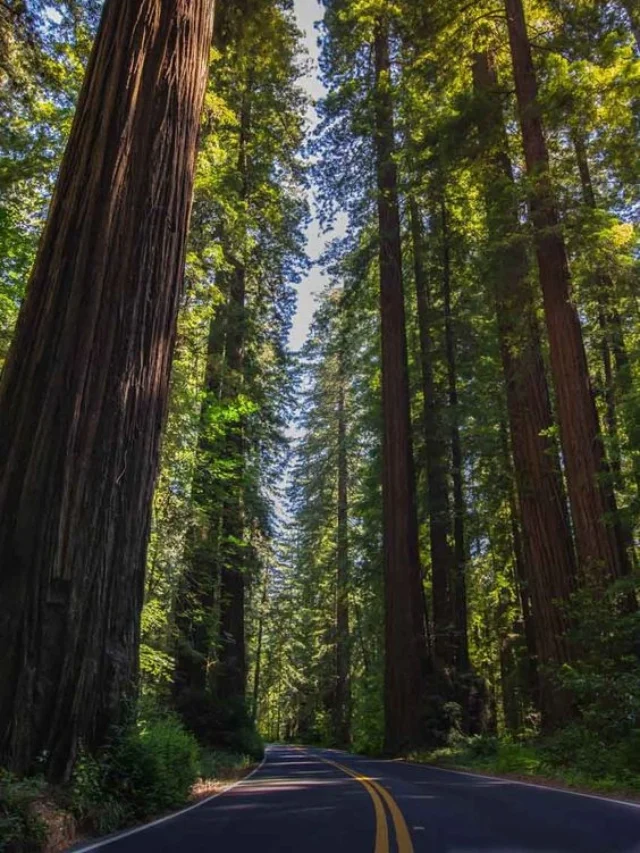 Top 10 most beautiful California State Parks